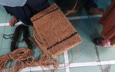 Sabut Kelapa Sebagai Pengganti Plastik: Solusi Alami untuk Gaya Hidup Zero Waste