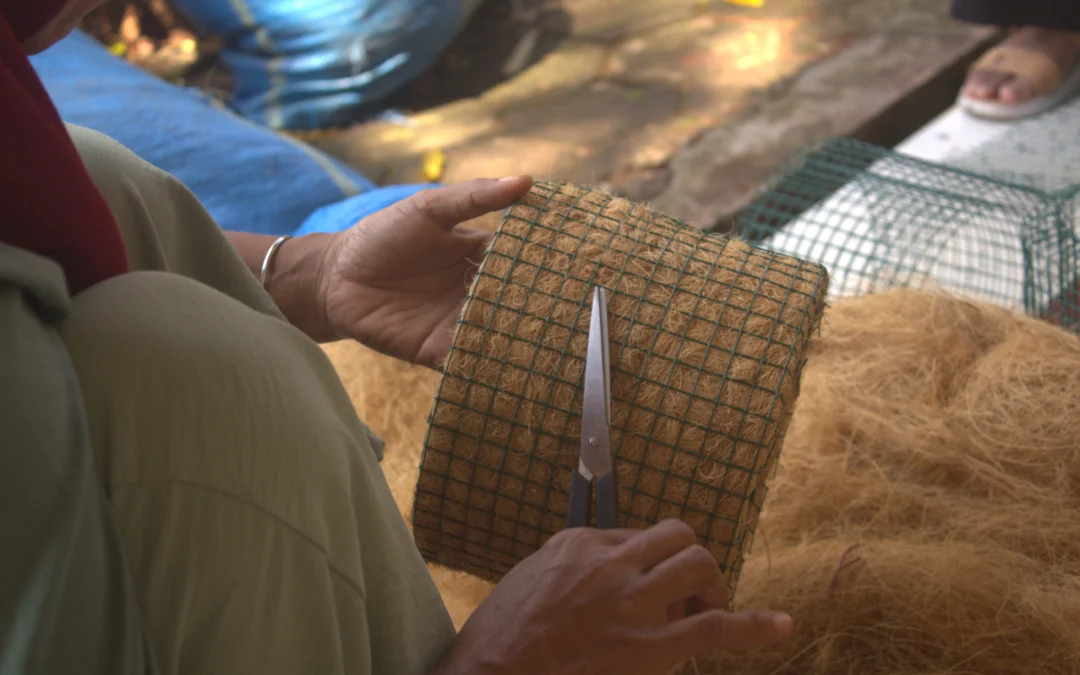 Contoh produk turunan sabut kelapa siap ekspor dari cocofiber dan cocopeat