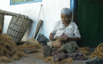 Peran Sabut Kelapa dalam Mendukung Urban Farming dan Ketahanan Pangan
