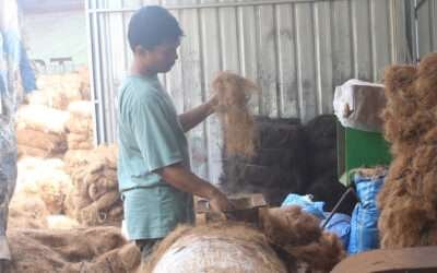 Sabut Kelapa: Bahan Baku Industri Masa Depan yang Ramah Lingkungan